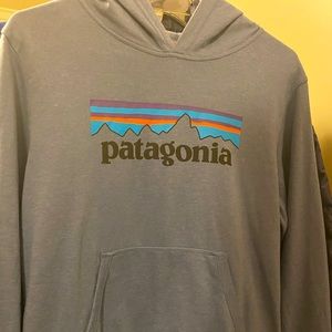 Patagonia Hooded Tshirt